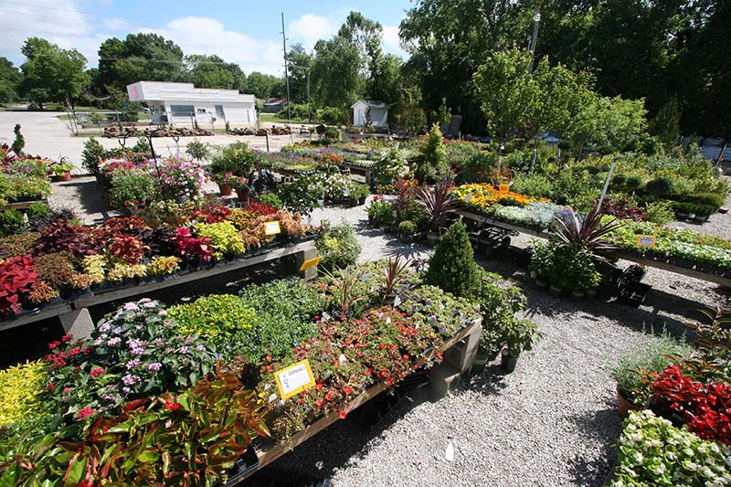 Green Thumb Nursery & Greenhouses Bartlesville, Oklahoma